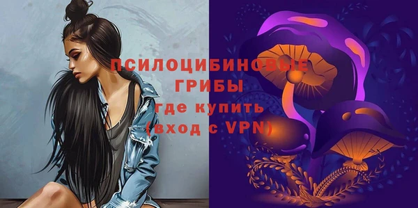 мдпв Верхнеуральск