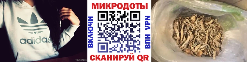 Галлюциногенные грибы мухоморы Чапаевск