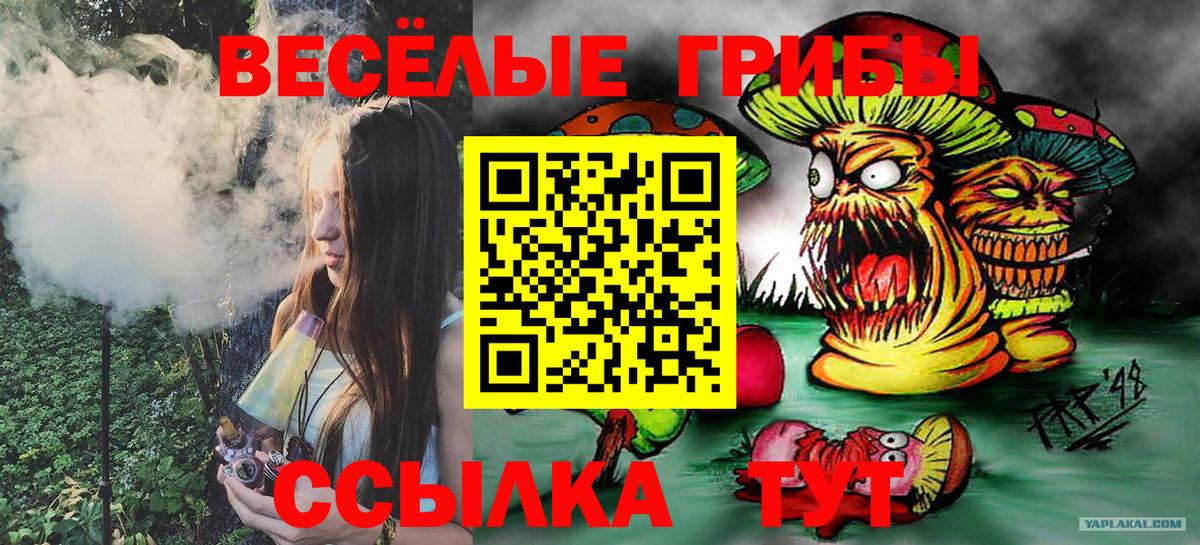 наркотики  Чапаевск  Галлюциногенные грибы ЛСД 