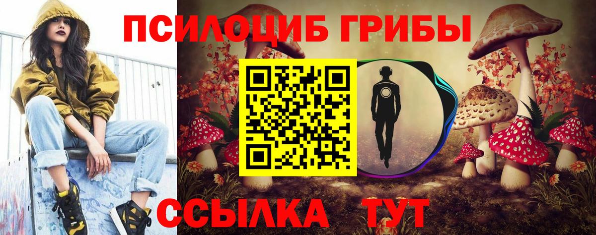 Чапаевск  Галлюциногенные грибы ЛСД  Вход с VPN 